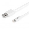 https://www.dmi.es/photo/7946/68747/6645672966456729/th/basic-cable-maillon-lightning-con-mfi-1m.jpg